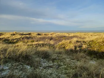 Oostnieuwkerke duinen wandeling in de koude (België)